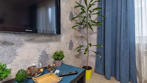 Квартира посуточно — Бурнаковская ул. 105, Нижний Новгород