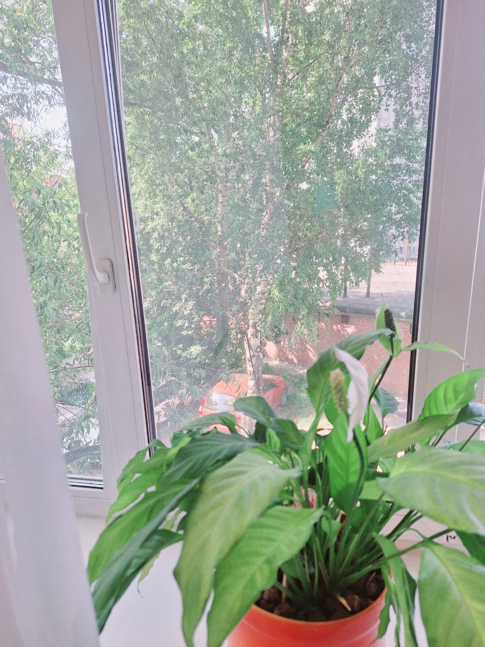 1-комнатная квартира, Куйбышева ул. 62