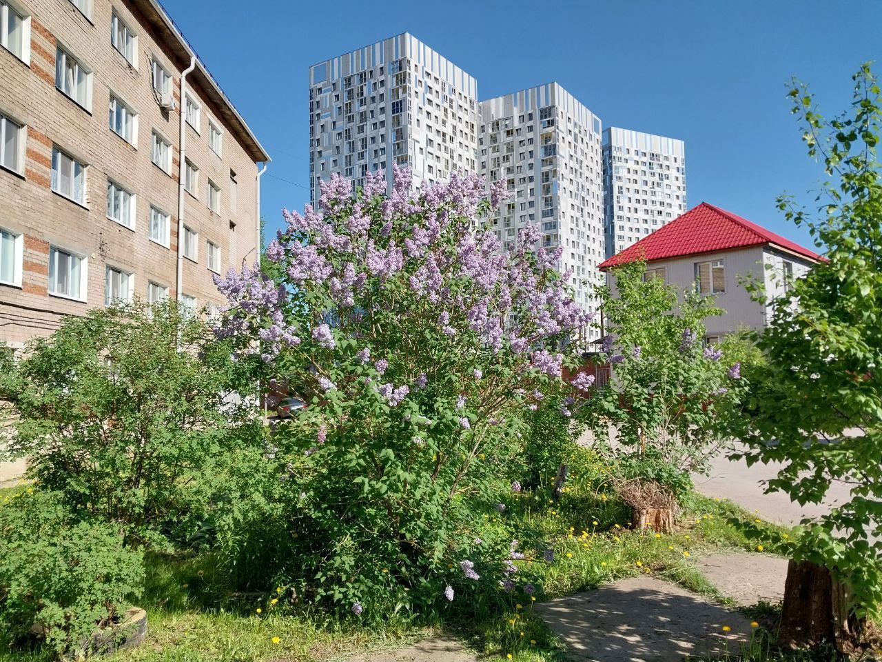 1-комнатная квартира, Куйбышева ул. 62