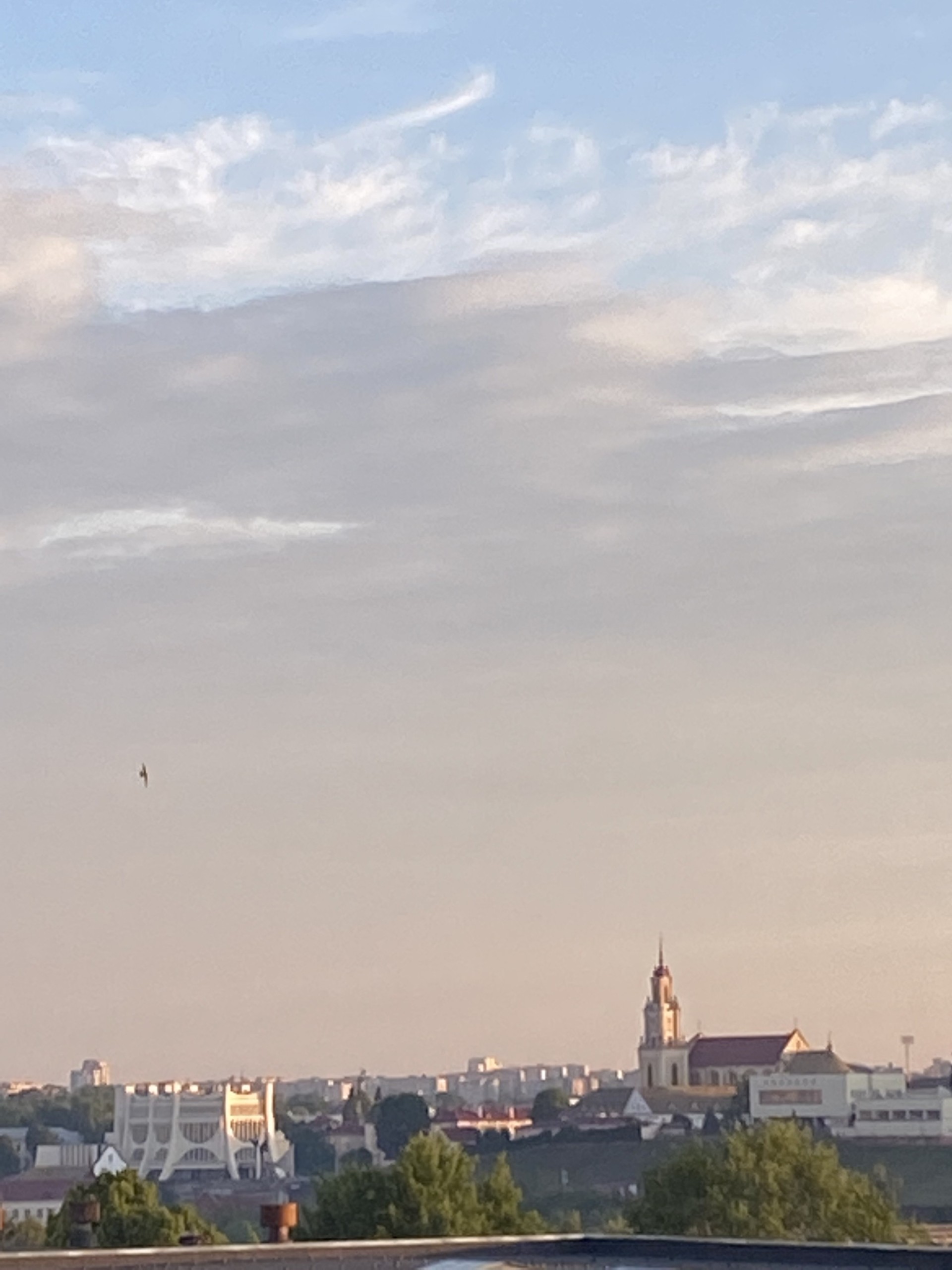 1-комнатная квартира, Гая ул. 17