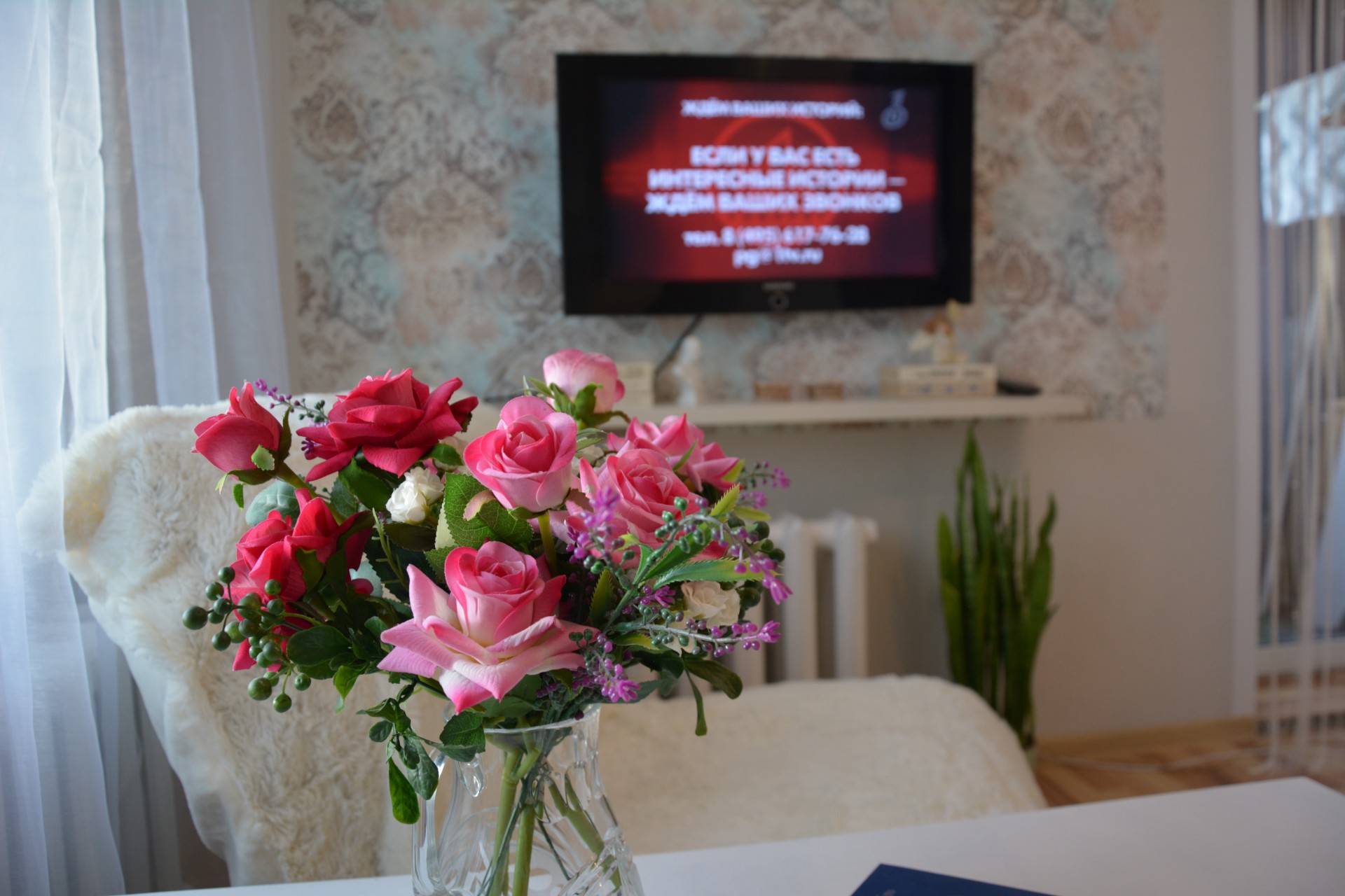 1-комнатная квартира, Московский пр-т 43