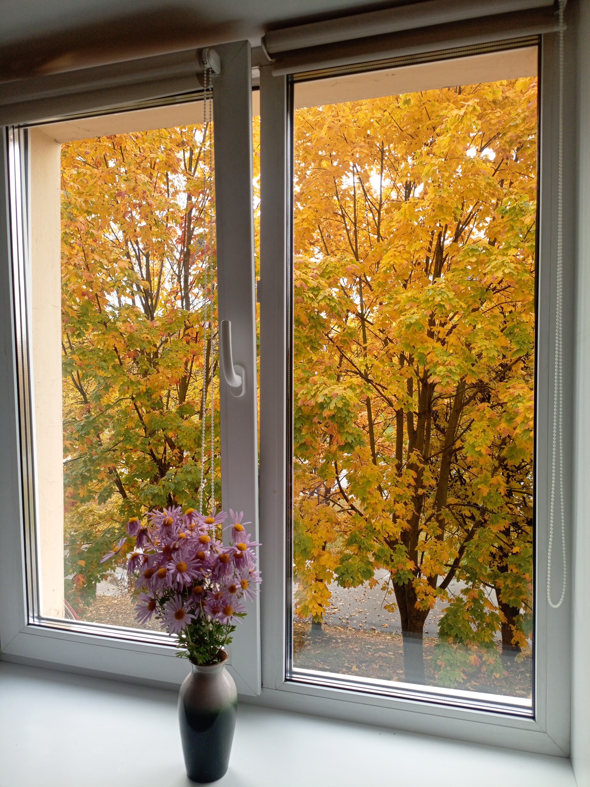 1-комнатная квартира, Строителей пр-т 8