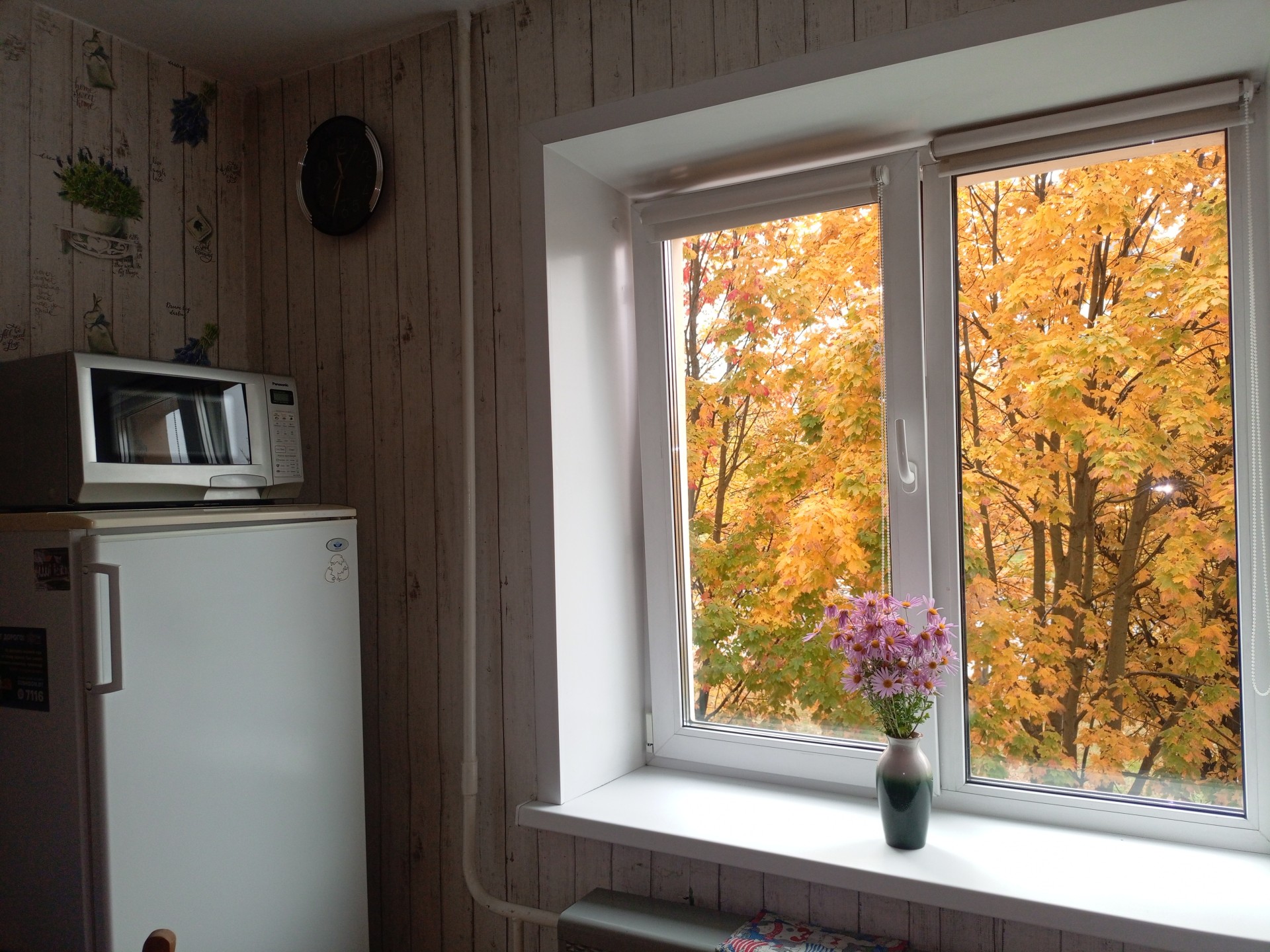 1-комнатная квартира, Строителей пр-т 8