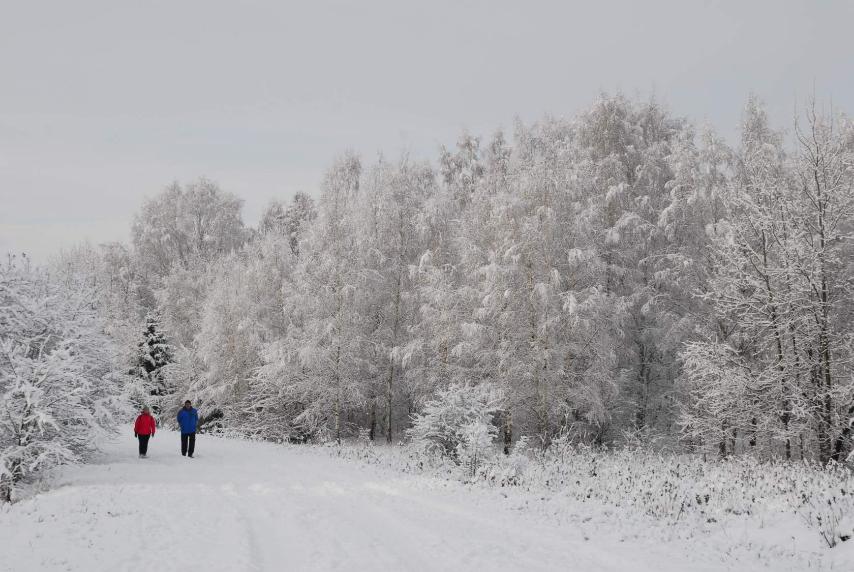3-комнатная квартира, Кольцова ул. 32