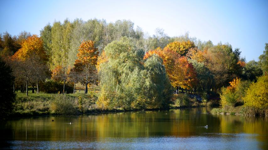 3-комнатная квартира, Кольцова ул. 32