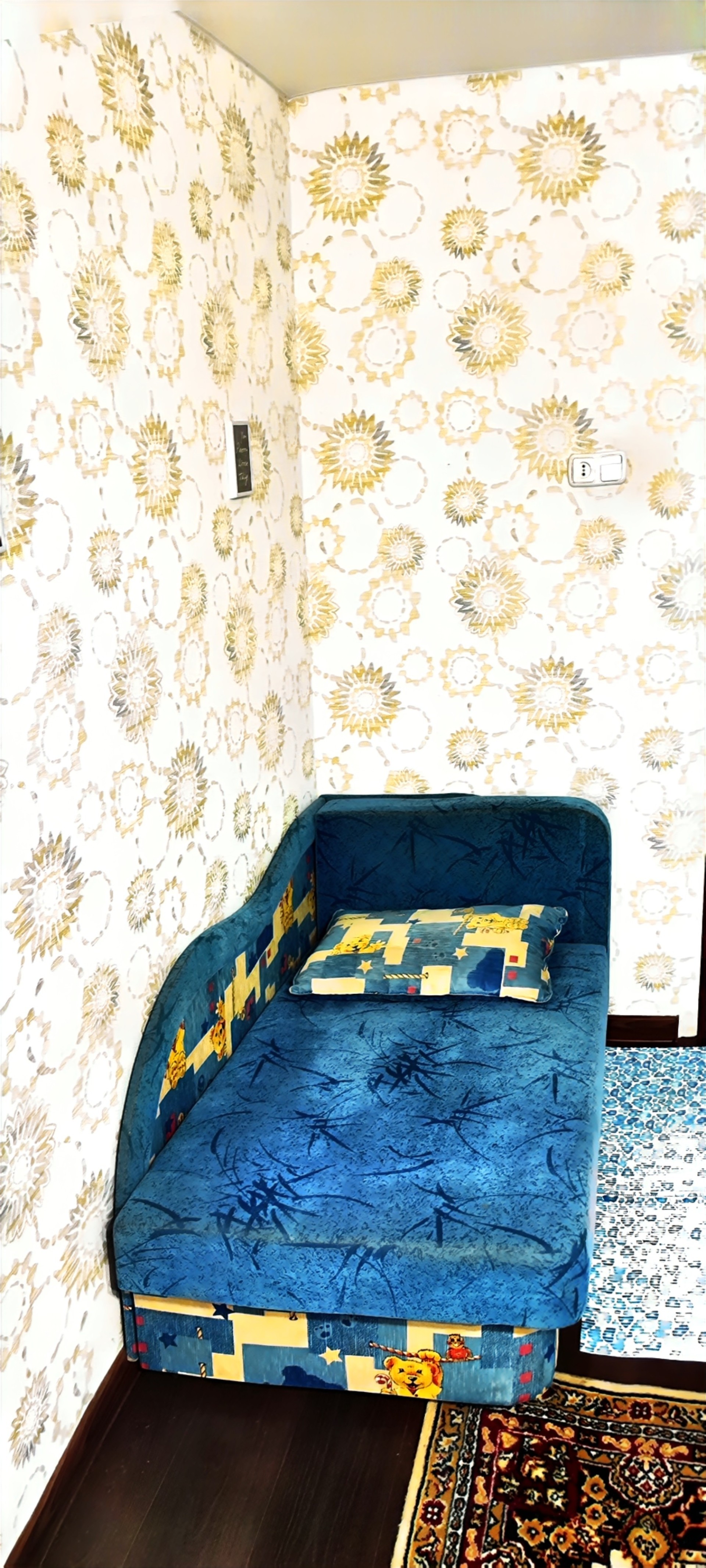 1-комнатная квартира, Лещинского ул. 25